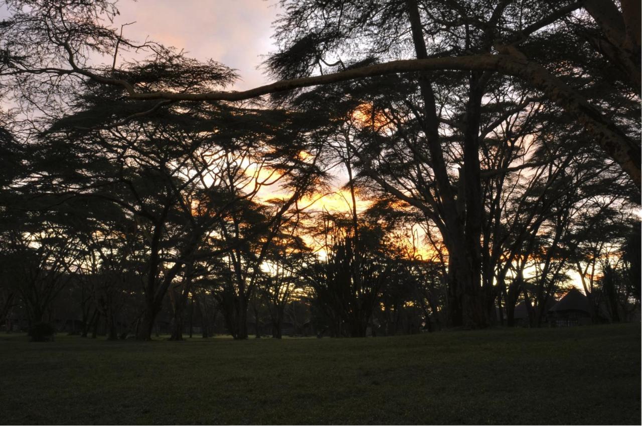 Lake Naivasha Sopa Resort Kültér fotó