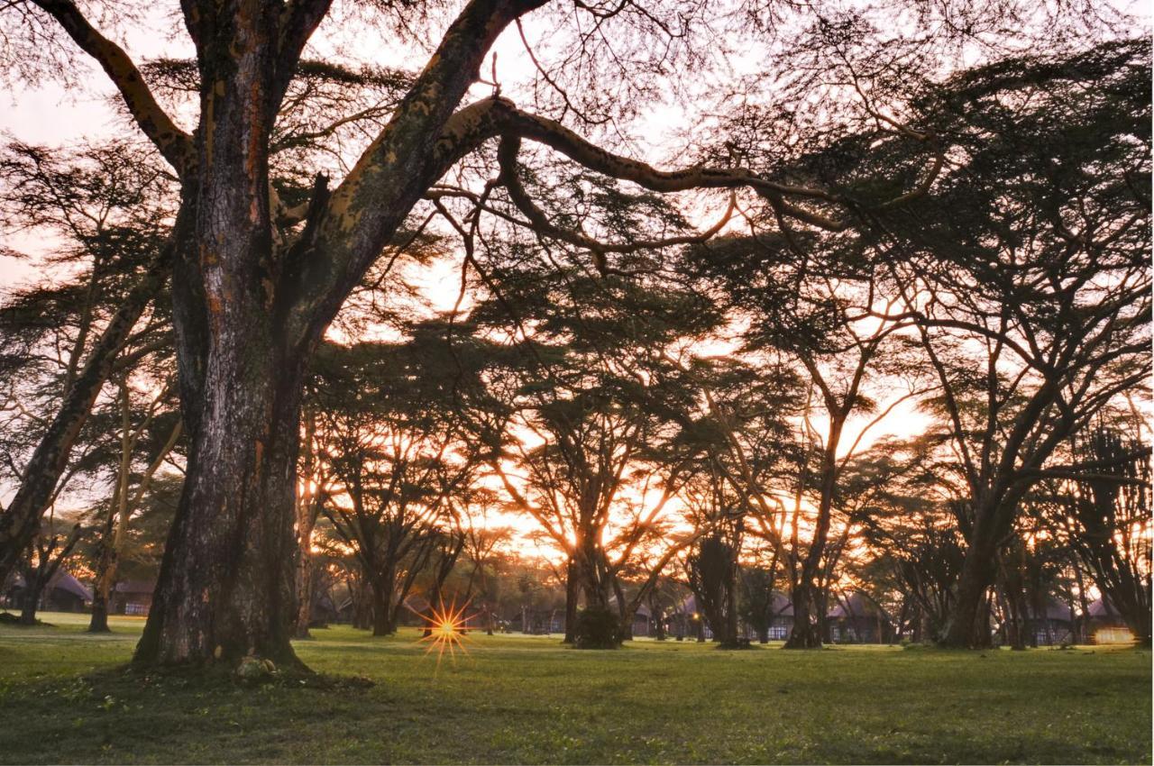 Lake Naivasha Sopa Resort Kültér fotó